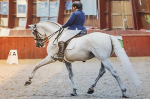 Advanced Dressage